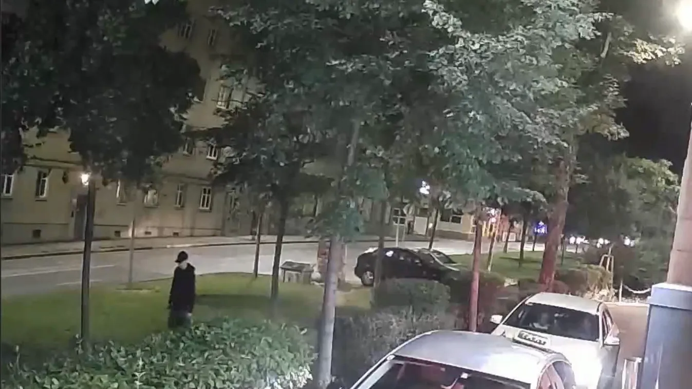 Nem állt volna le az öléssel a magyar férfi tini gyilkosa