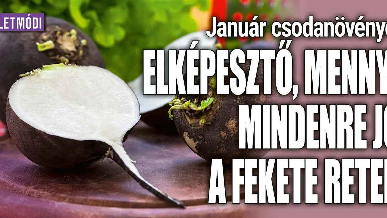 Elképesztő, mennyi mindenre jó az olcsó fekete retek