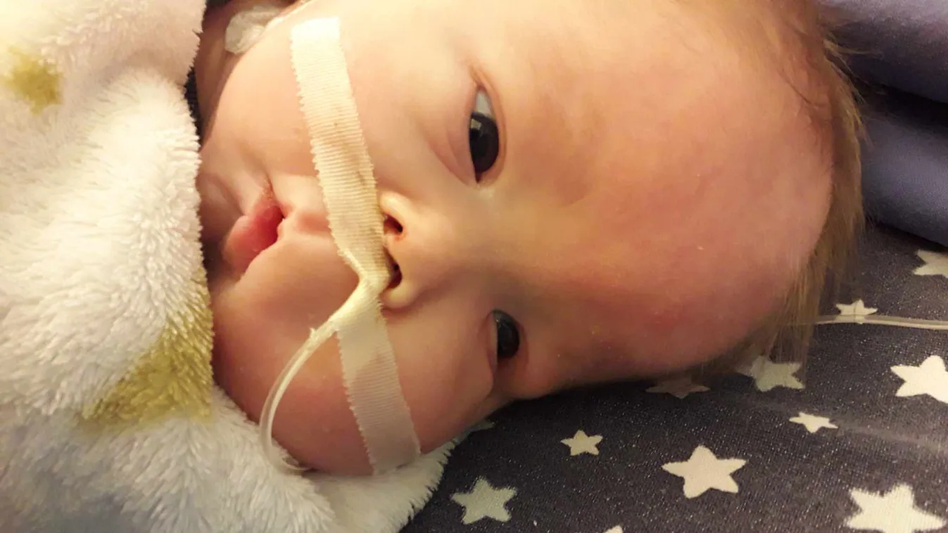 Édesapja karjai között halt meg a kis Bencus