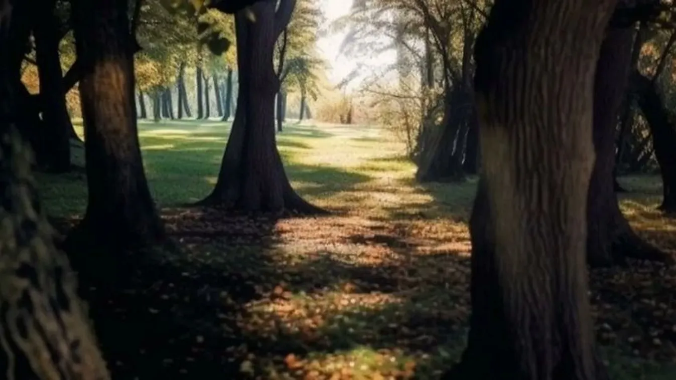 Nézz rá a képre és kiderül készen állsz-e a szerelemre