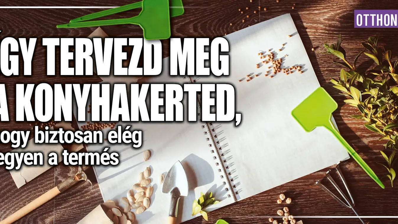 Így tervezd meg a konyhakerted, hogy elég legyen a termés