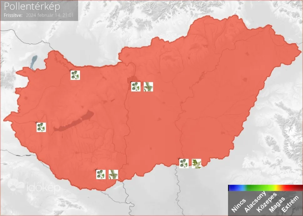 pollentérkép 02.14.