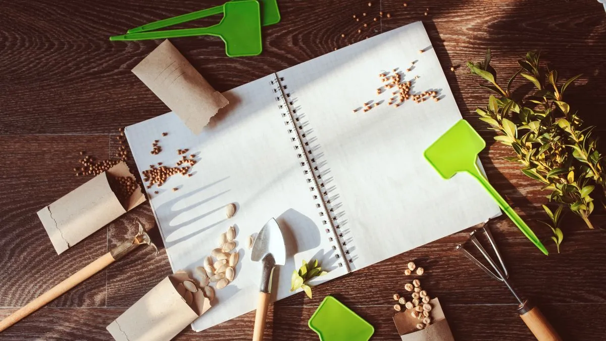 Spring,Garden,Flat,Lay,With,Seeds,In,Handmade,Envelopes,,Note, gazdaság