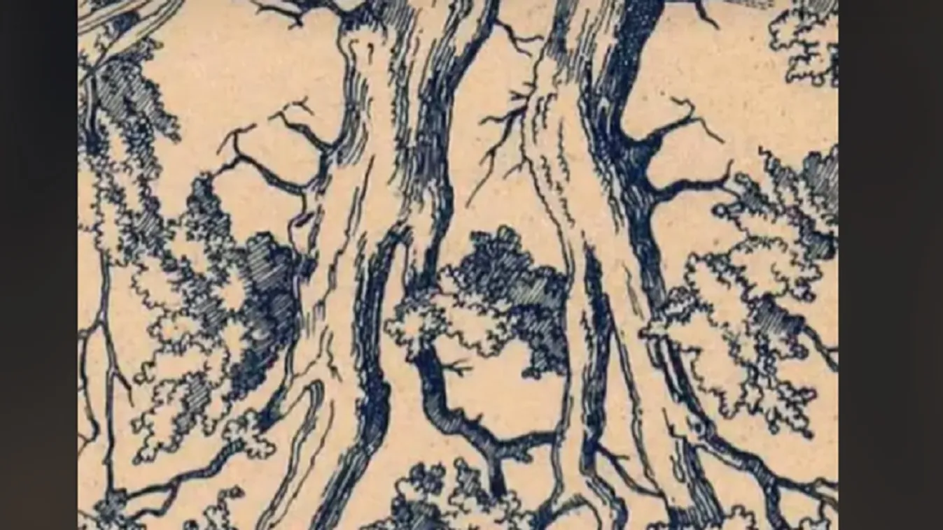 Az emberek mindössze 25 százaléka látja csak meg az isteneke