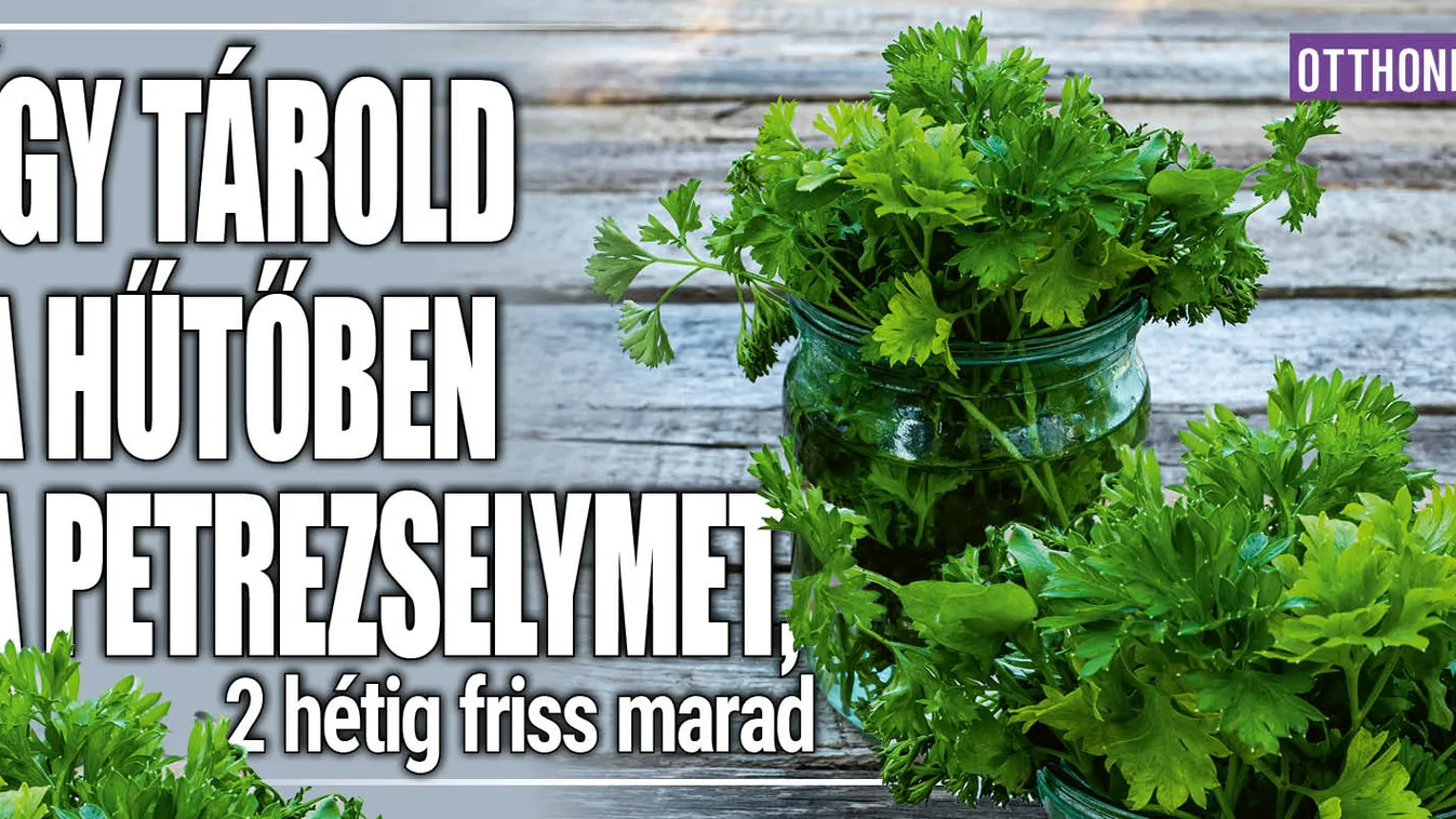 Így tárold a hűtőben a petrezselymet, 2 hétig friss marad