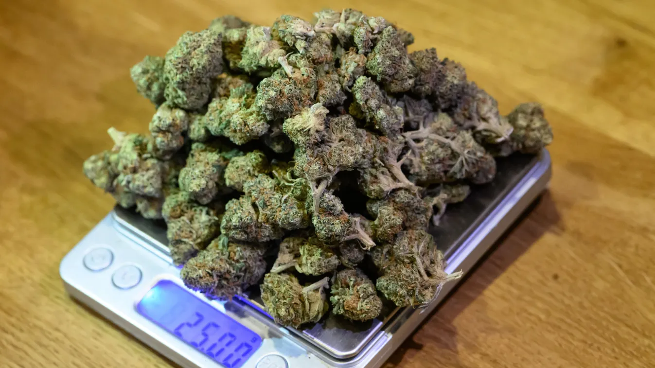 Kiadta a lakását, kannabiszmezőként kapta vissza