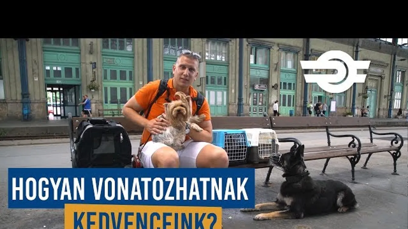 Még a kutyáknak is lehet országbérlete