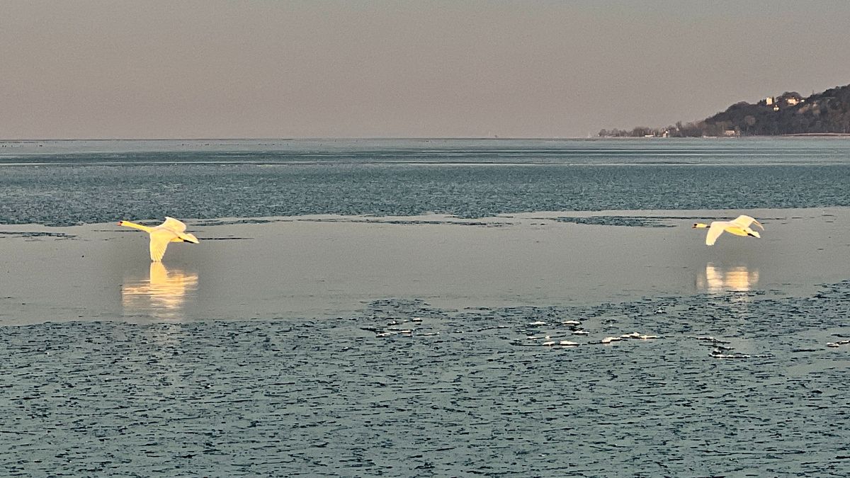 El sem hiszed, milyen magas a víz a Balatonon: ebből még baj is lehet