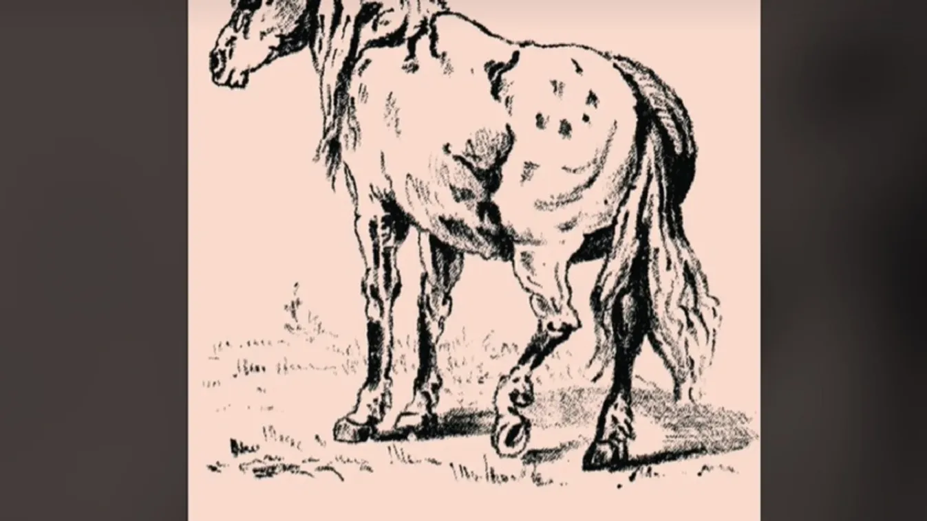 Ha megfejted az emberek 1 százalékába tartozol