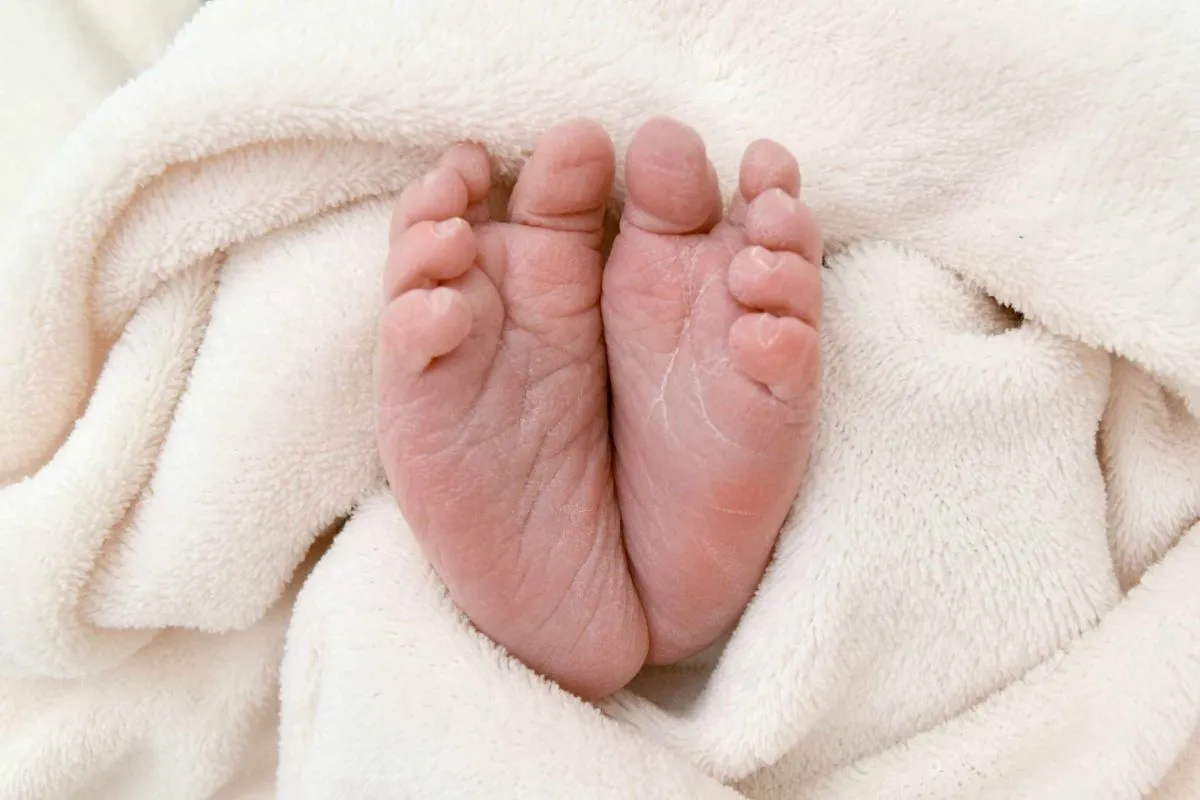 Mischinger Péter kisfia