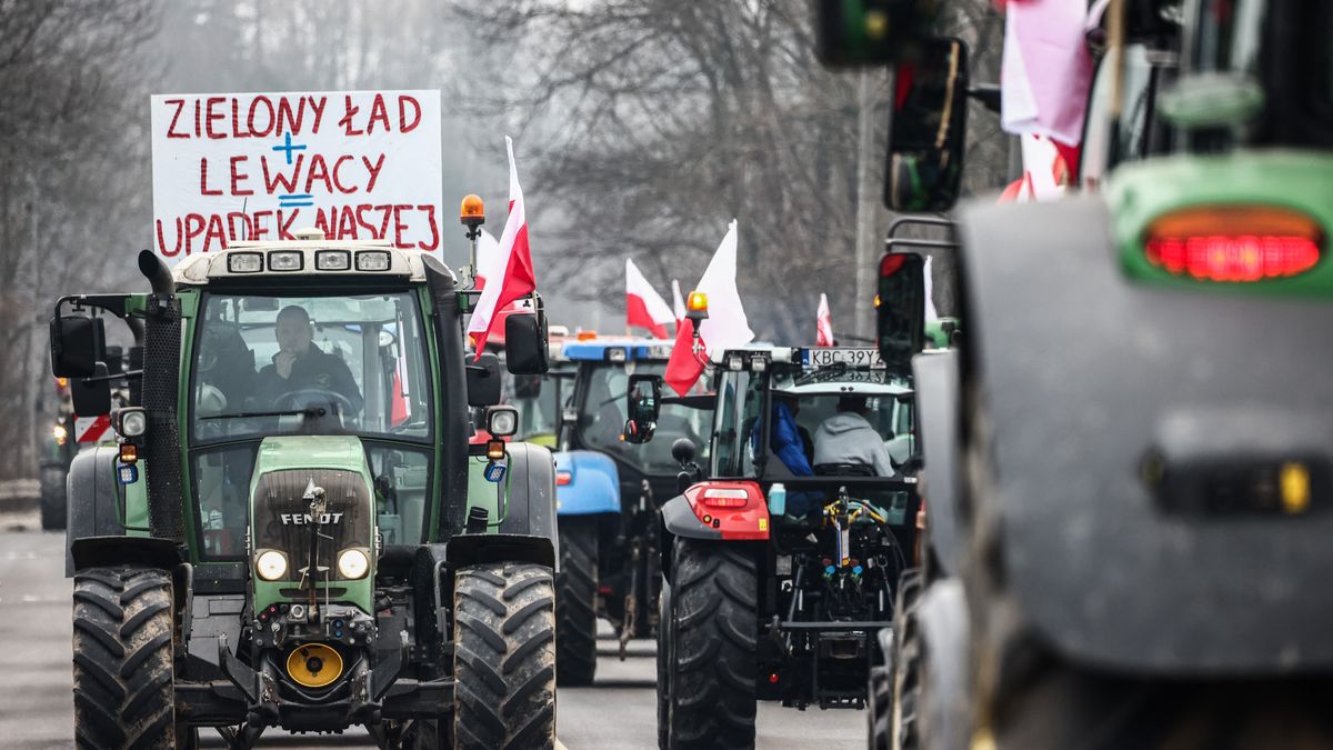 Új szakaszba lépett a gabonaháború Lengyelország és Ukrajna között