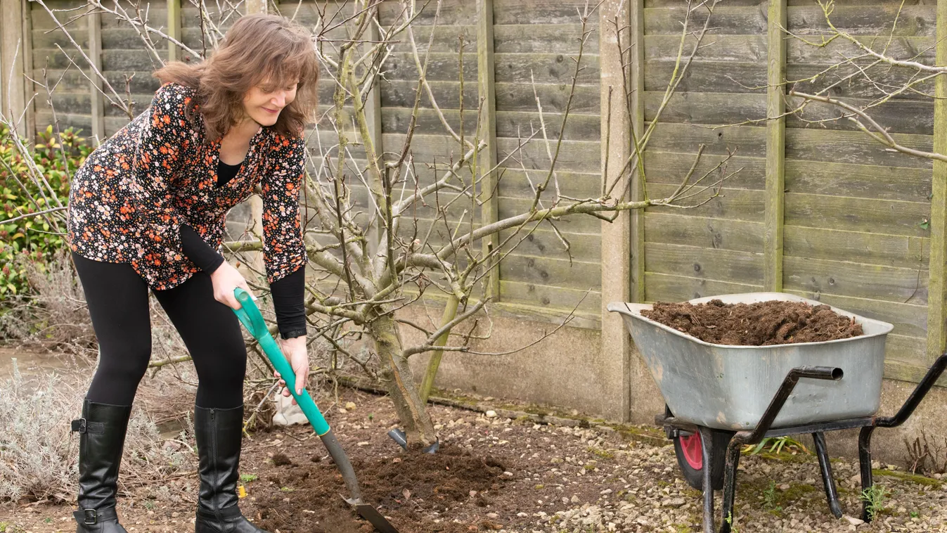 Csodás idő februárban, irány a kert: ezek most a teendők