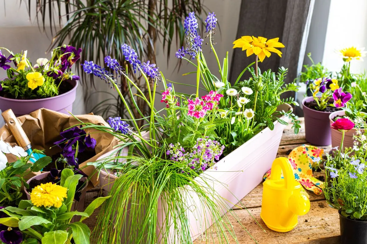 Spring,Decoration,Of,A,Home,Balcony,Or,Terrace,With,Flowers,