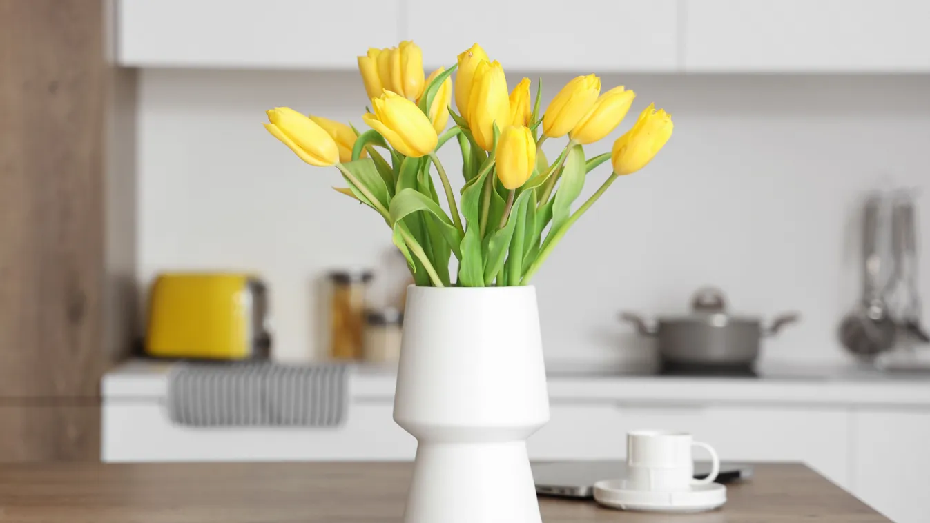 Így tedd vázába a tulipánt, kétszer olyan hosszan virágzik