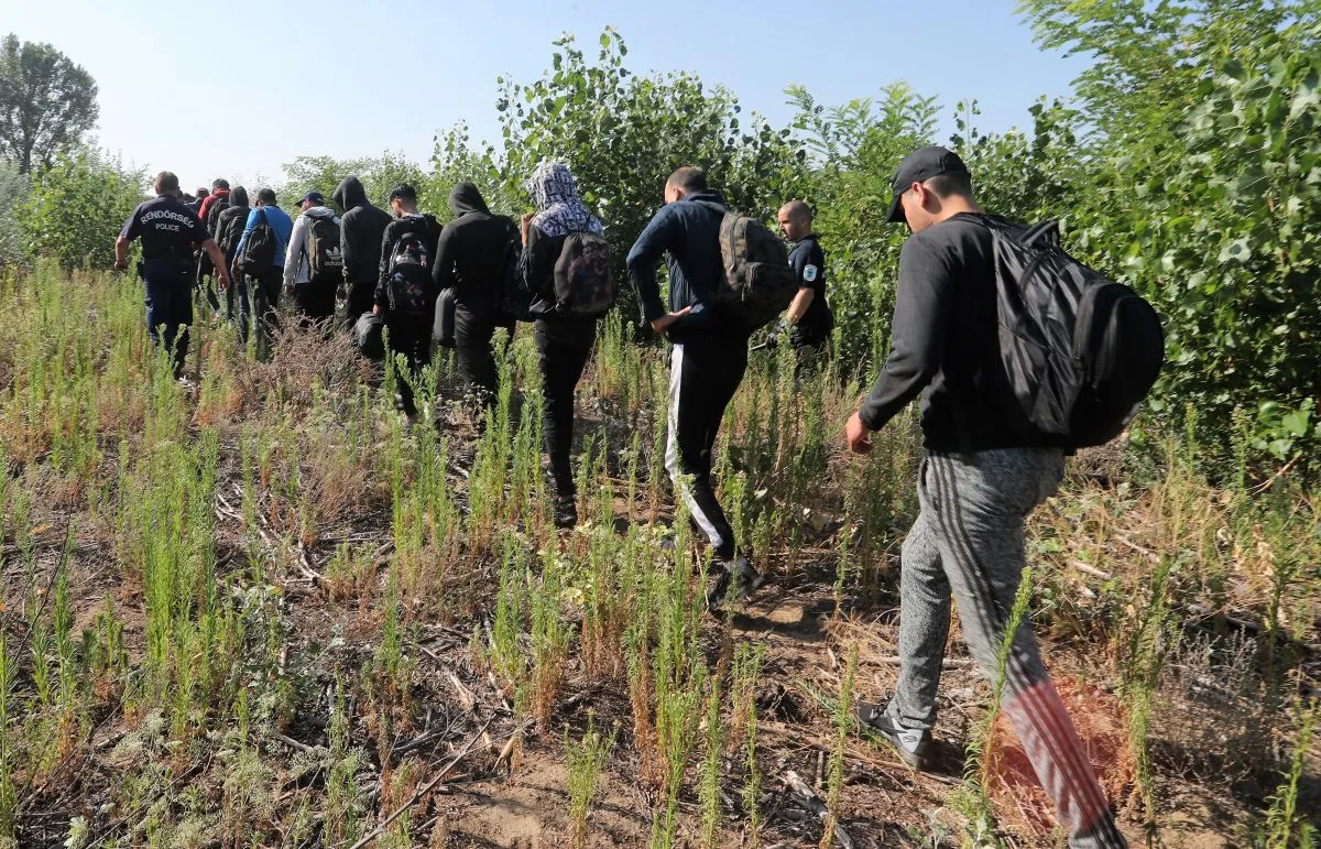 Illegális bevándorlás