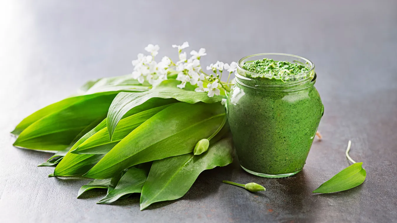 Elindult a medvehagymaszezon