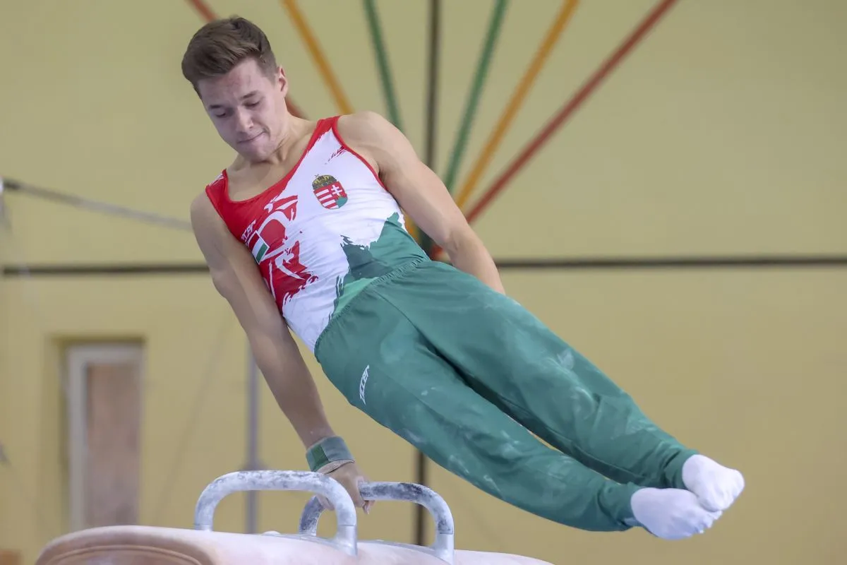 Mészáros Krisztofer