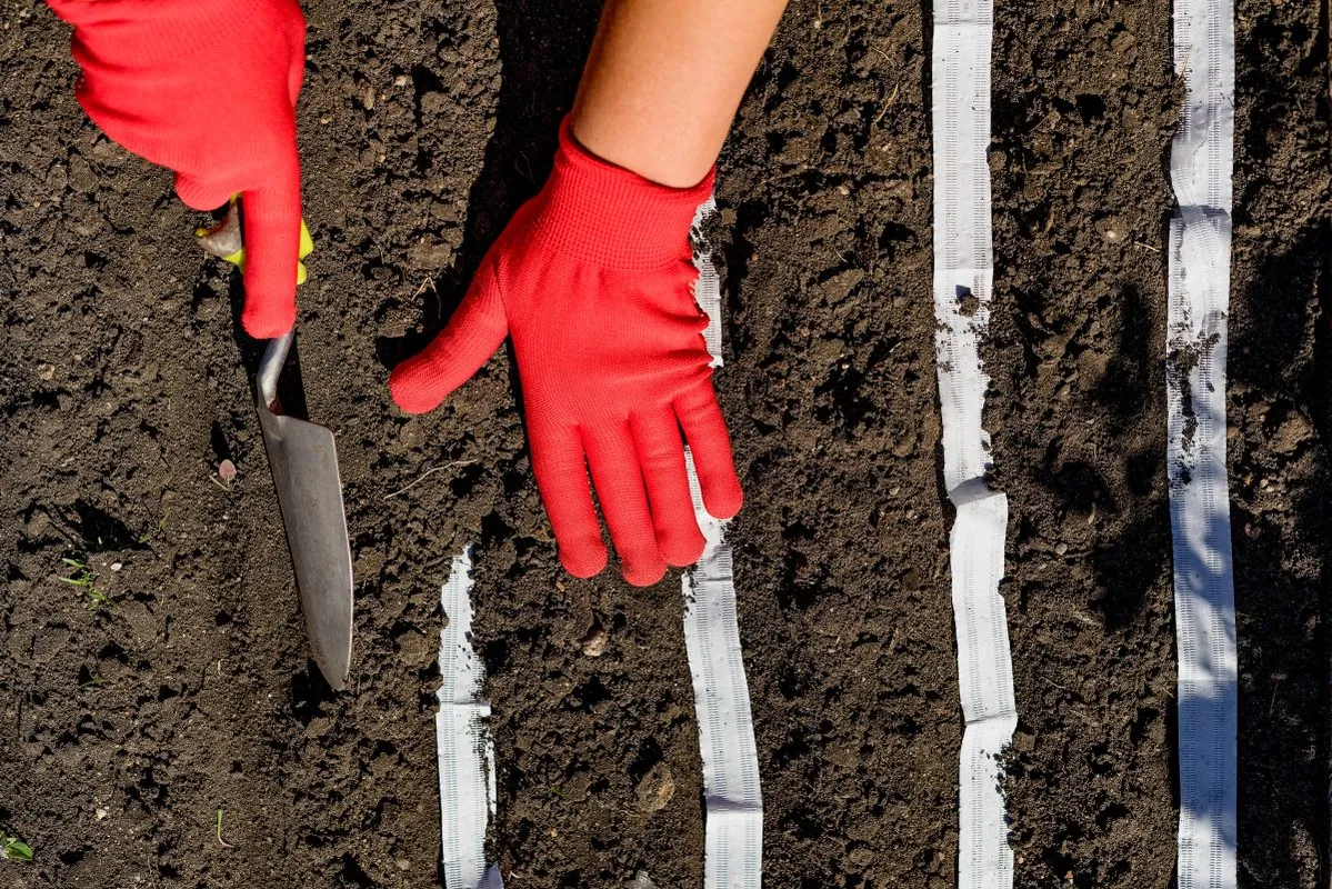 Close-up,View,Of,Woman,Hands,Planting,Vegetables,With,The,Help