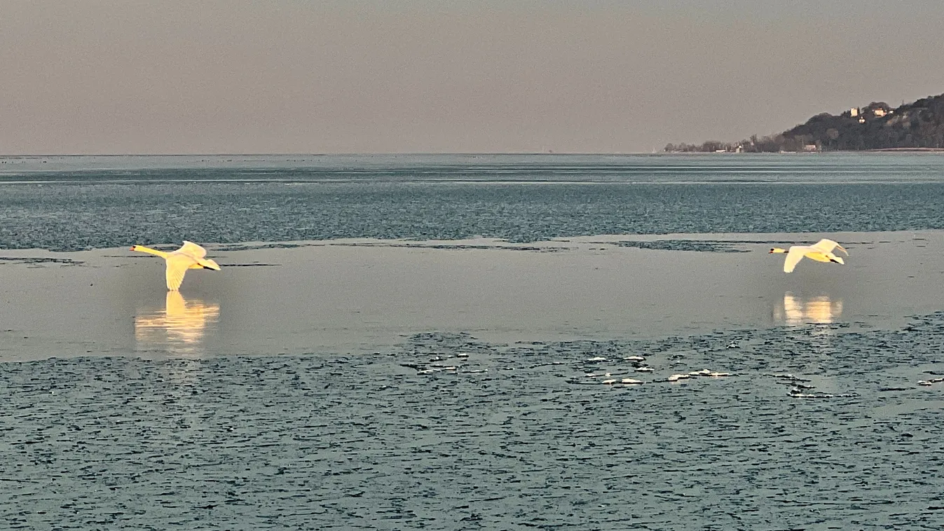 Nagyon magas a Balaton vize, ebből még baj lehet