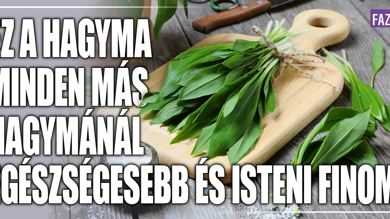 Ez a hagyma minden más hagymánál egészségesebb