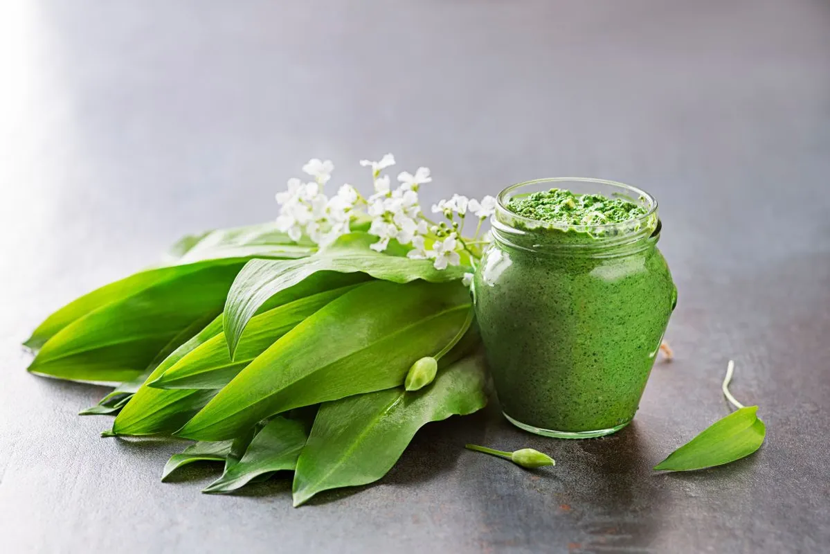 Fresh,Ramson,Or,Wild,Garlic,Pesto,In,Glass,Jar,Close
