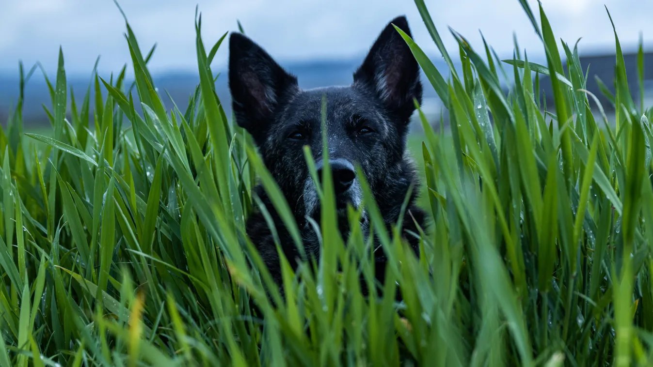 Elképesztő követeléssel álltak elő az új lakók szomszédjai