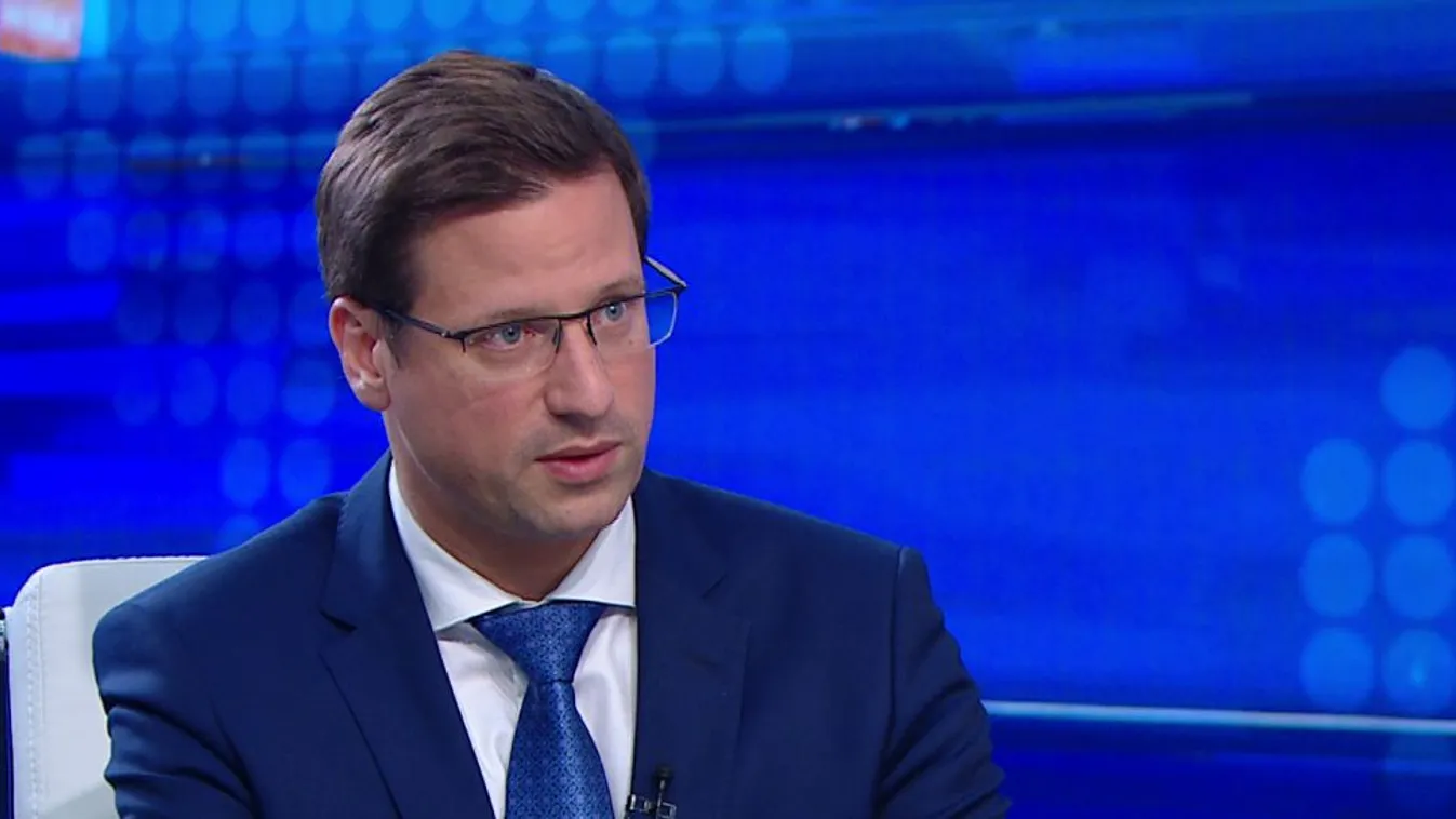 Gulyás Gergely: Pedofilok nem kaphatnak kegyelmet