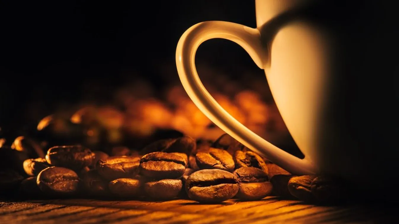 A műhús után itt a sejttenyésztett kávé