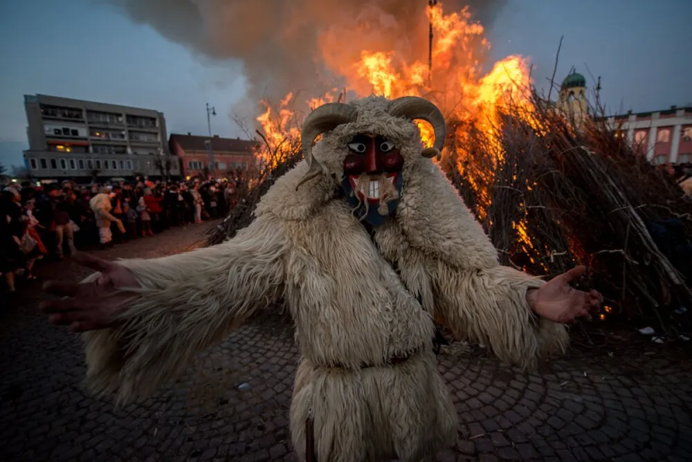 busójárás, busó, mohács