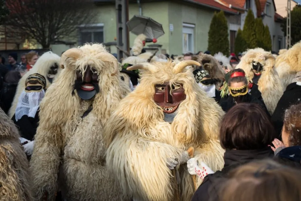 busó, busójárás, mohácsi busójárás