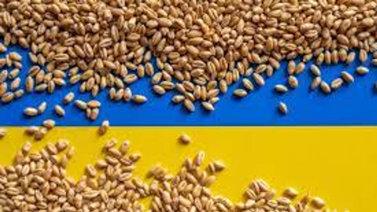 Negyven tonna GMO-val szennyezett ukrán vetőmagot foglalt le a Nébih