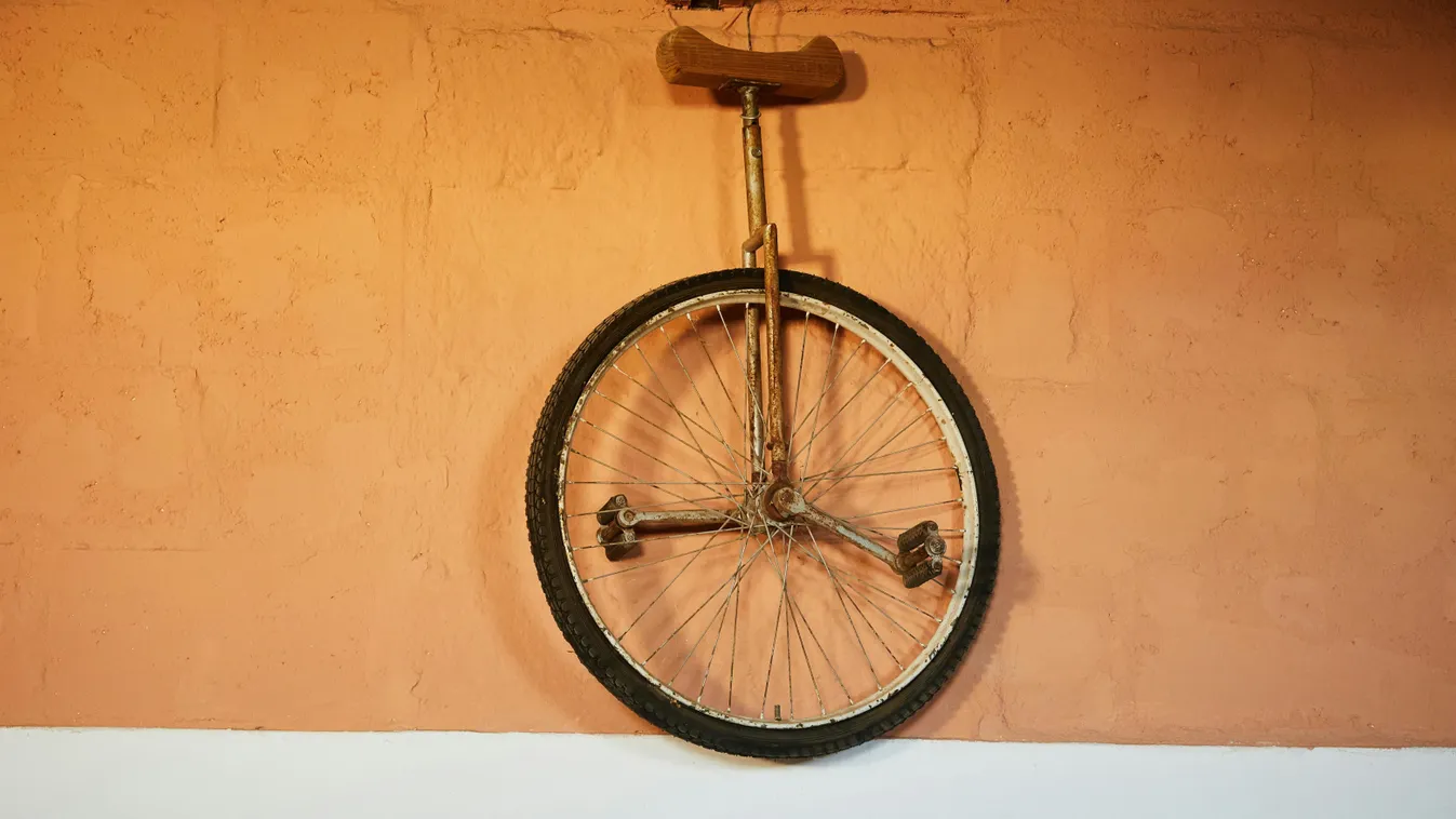 Egy cirkuszi medve előadás közben támadt rá a gondozójára