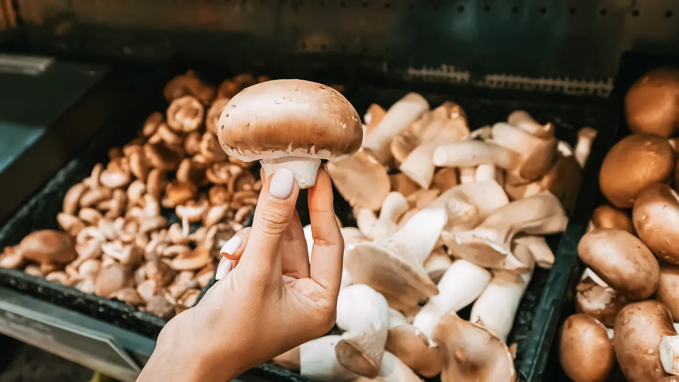 Ezt kár lenne kihagyni, elképesztő akció a Lidlben