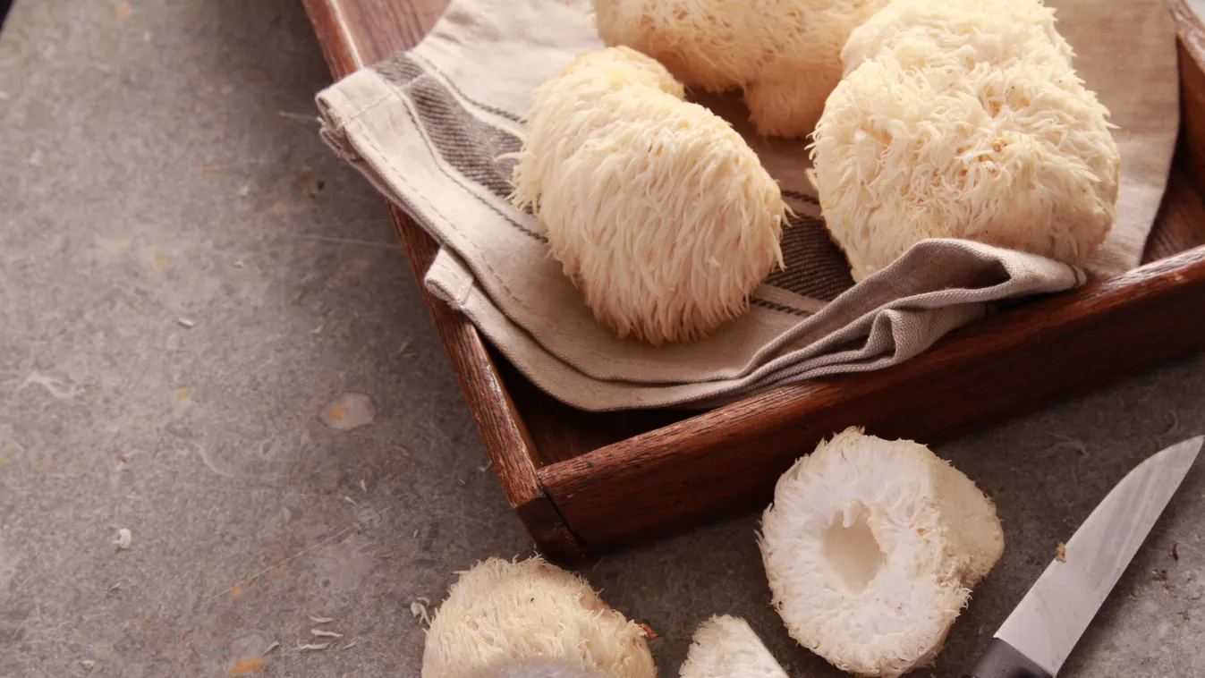 Ez a nagyszerű gomba lehet a hosszú élet titka?