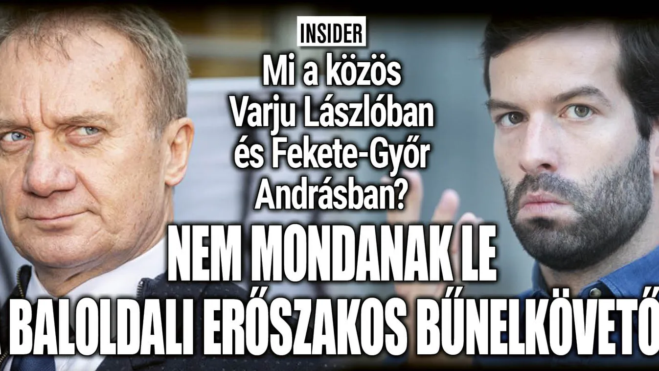 Ez a közös Fekete-Győr Andrásban és Varju Lászlóban
