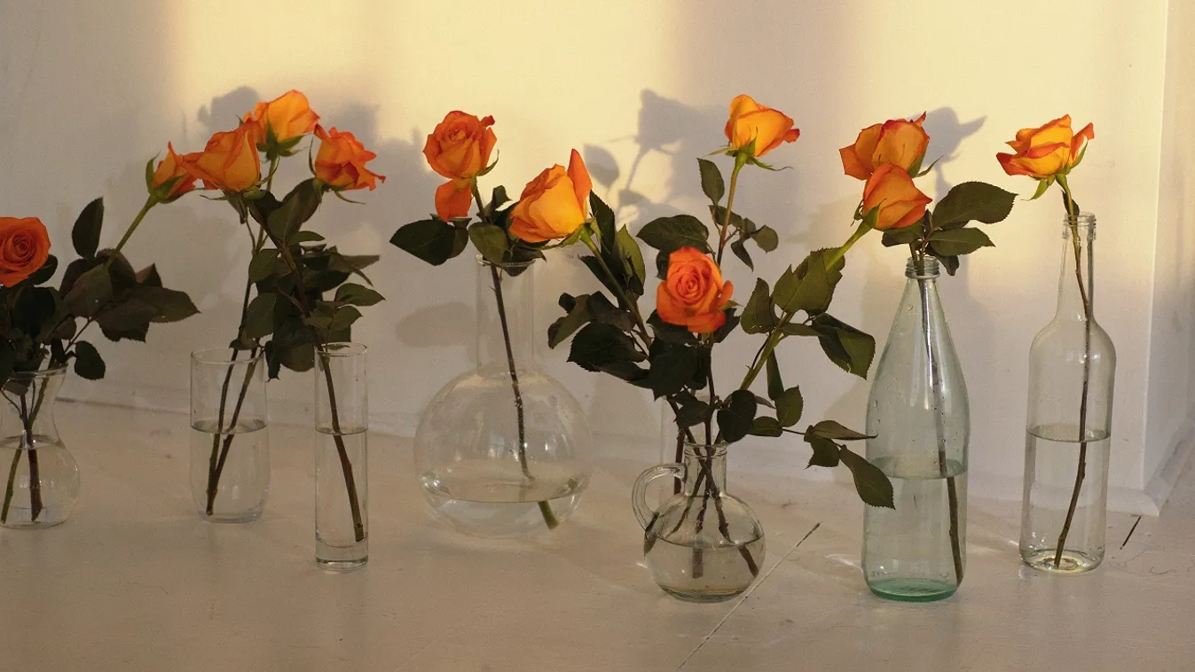 Így marad sokáig friss a vágott virág