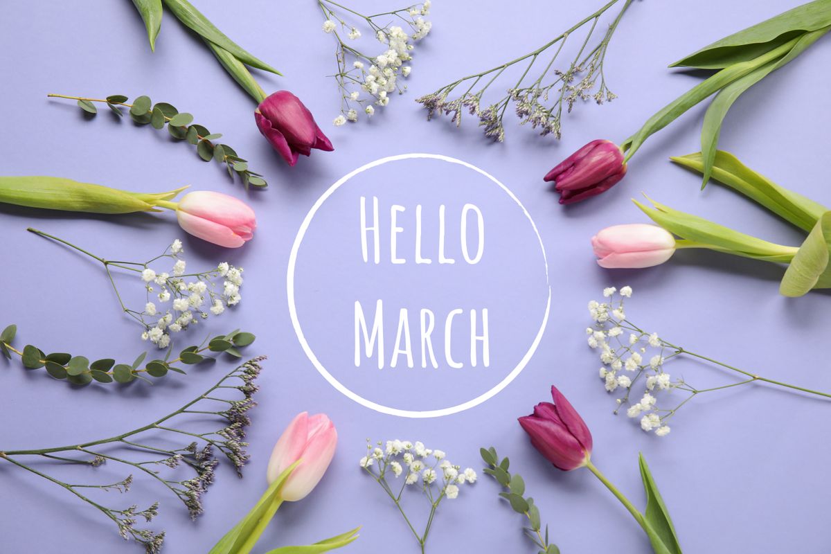 Beautiful,Flowers,With,Text,Hello,March,On,Color,Background