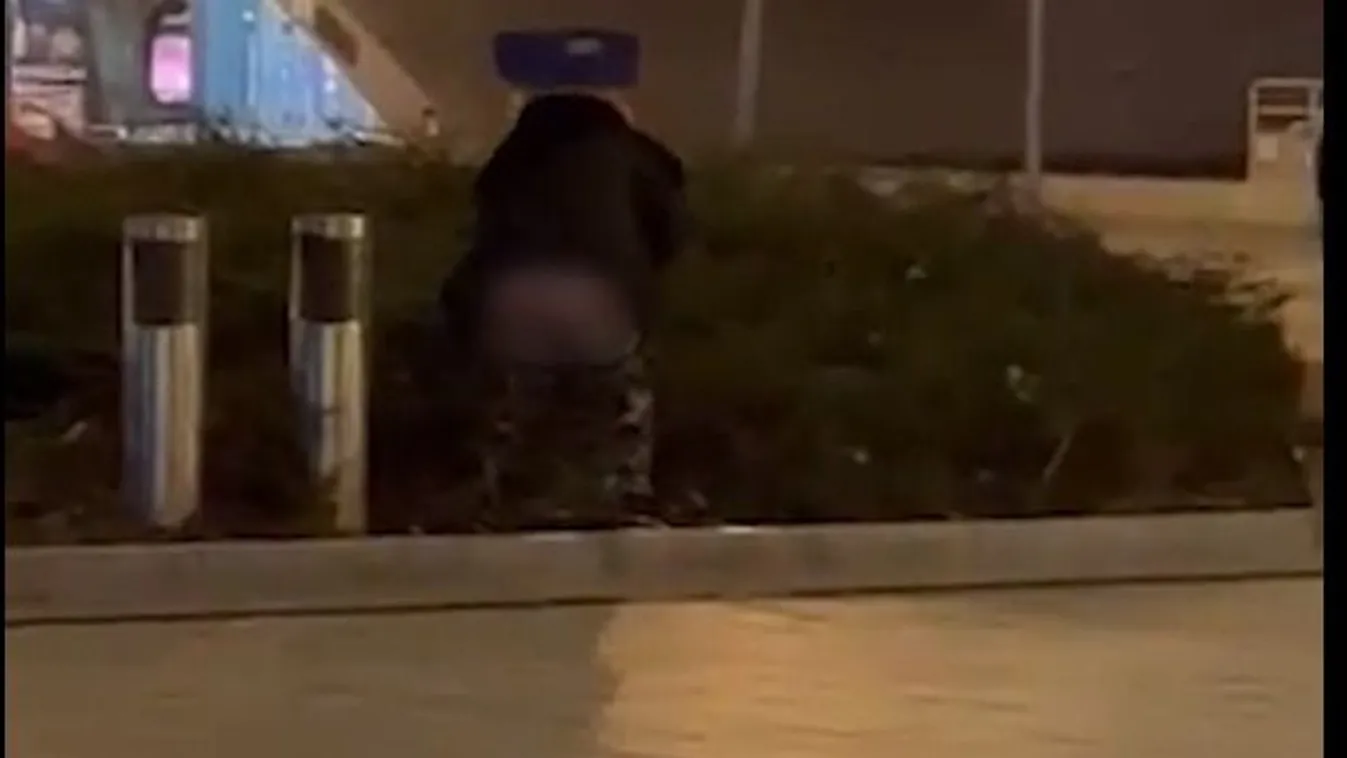 Lecsapott a józsefvárosi k*kifantom