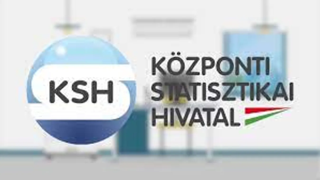 Több mint 10 százalékkal nőtt a reálbér decemberben