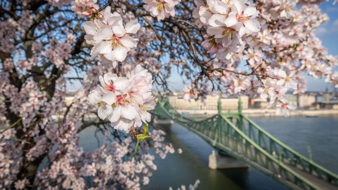 Kiadták a figyelmeztetést: folytatódik a viharos szél