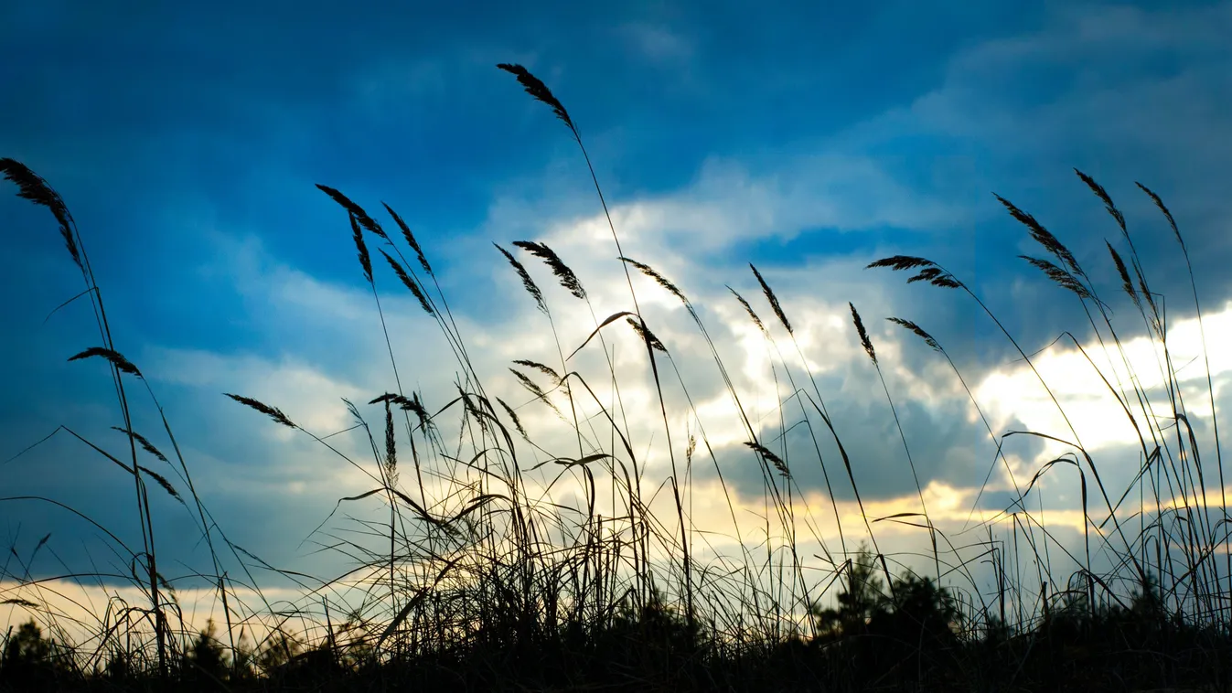 Nincs menekvés, zivatarokkal csap le a hidegfront