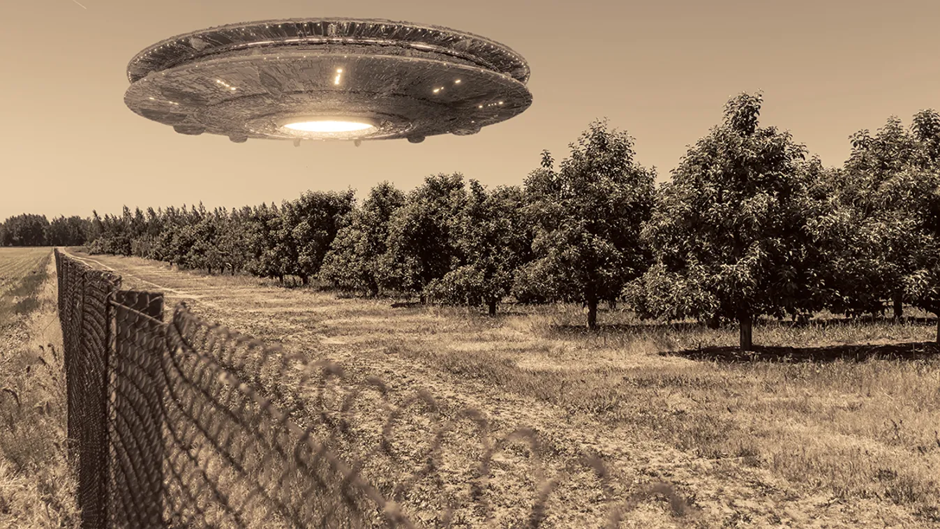Megindultak a kutatások a lezuhant UFO után