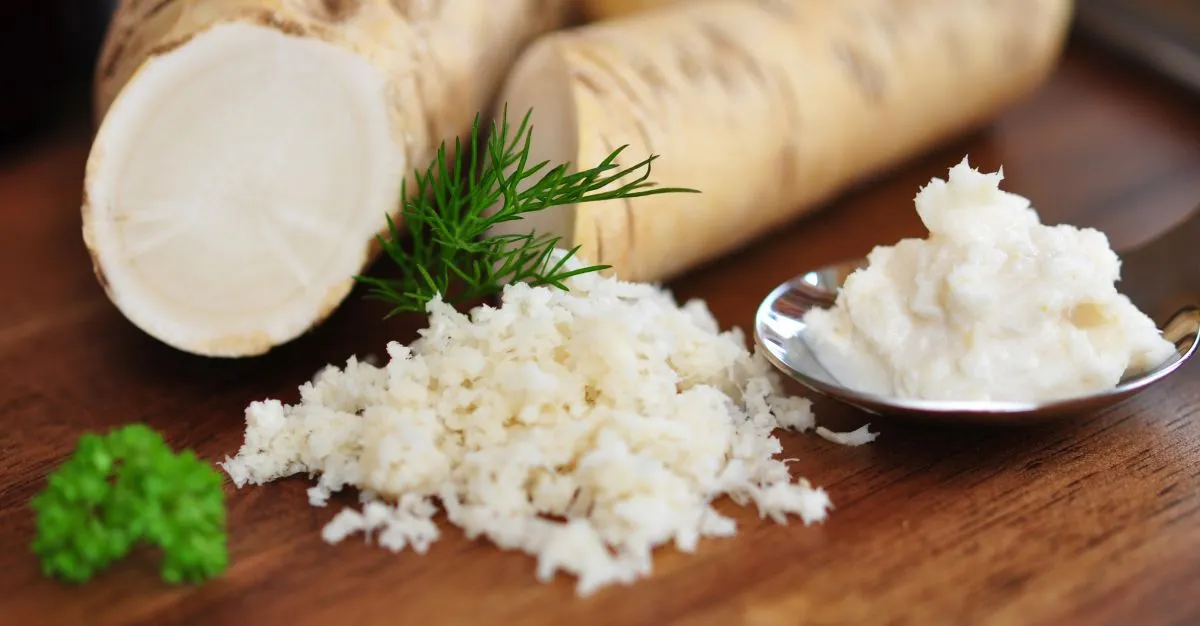 Fresh,Horseradish,On,A,Spoon,,Horseradish,Sauce,,Closeup