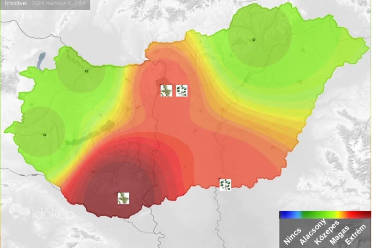 Jellemzően az ország középső és déli részén fog tarolni a pollen. Pécs, Szeged és Budapest lesz a fő célpontjuk /