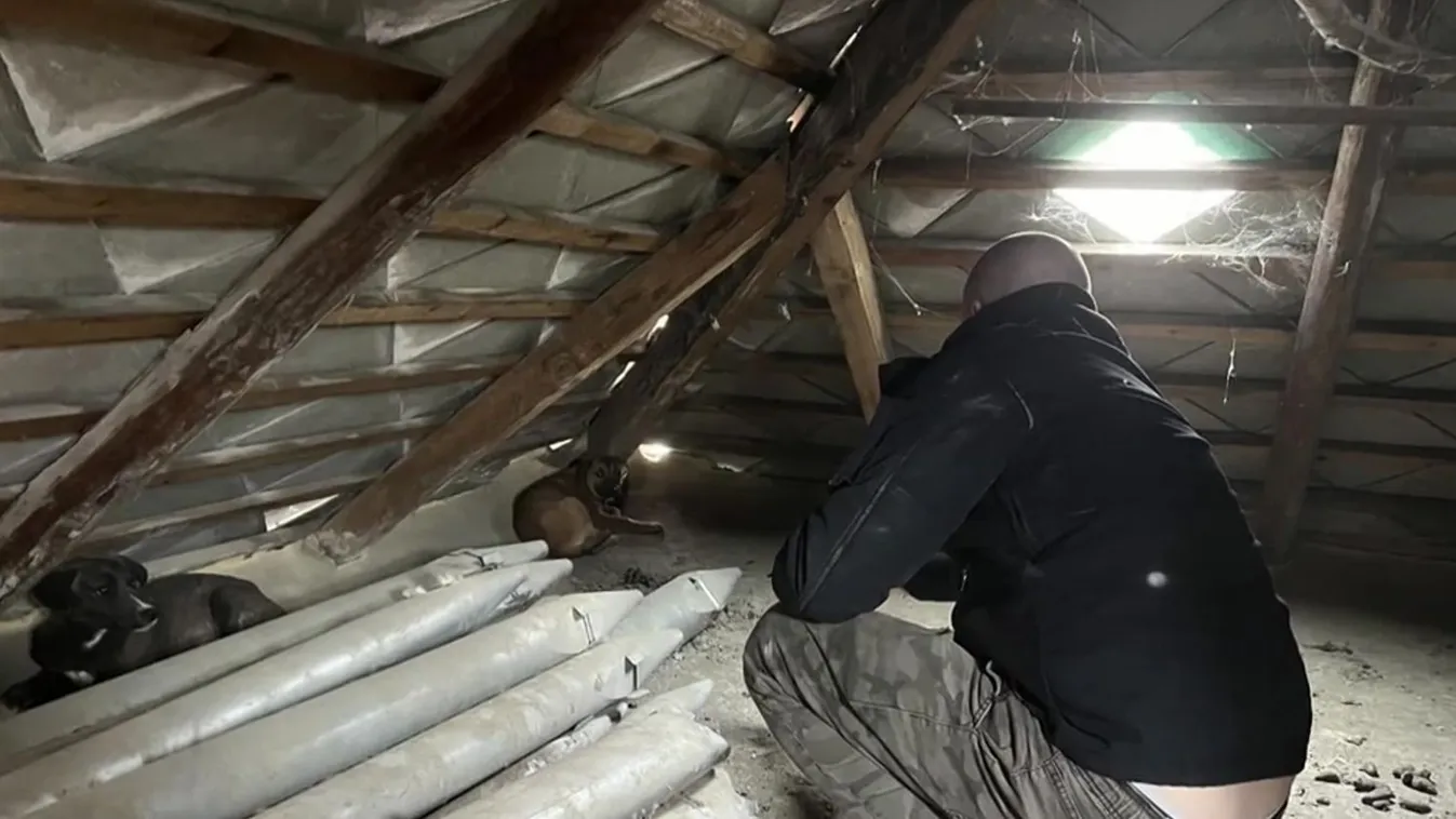 A hűtőben rejtette el a tetemeket egy újszilvási nő