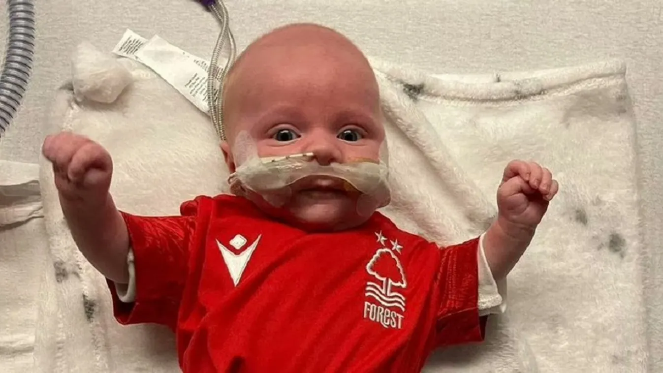 Elvitte az agyhártyagyulladás a tündéri fiút