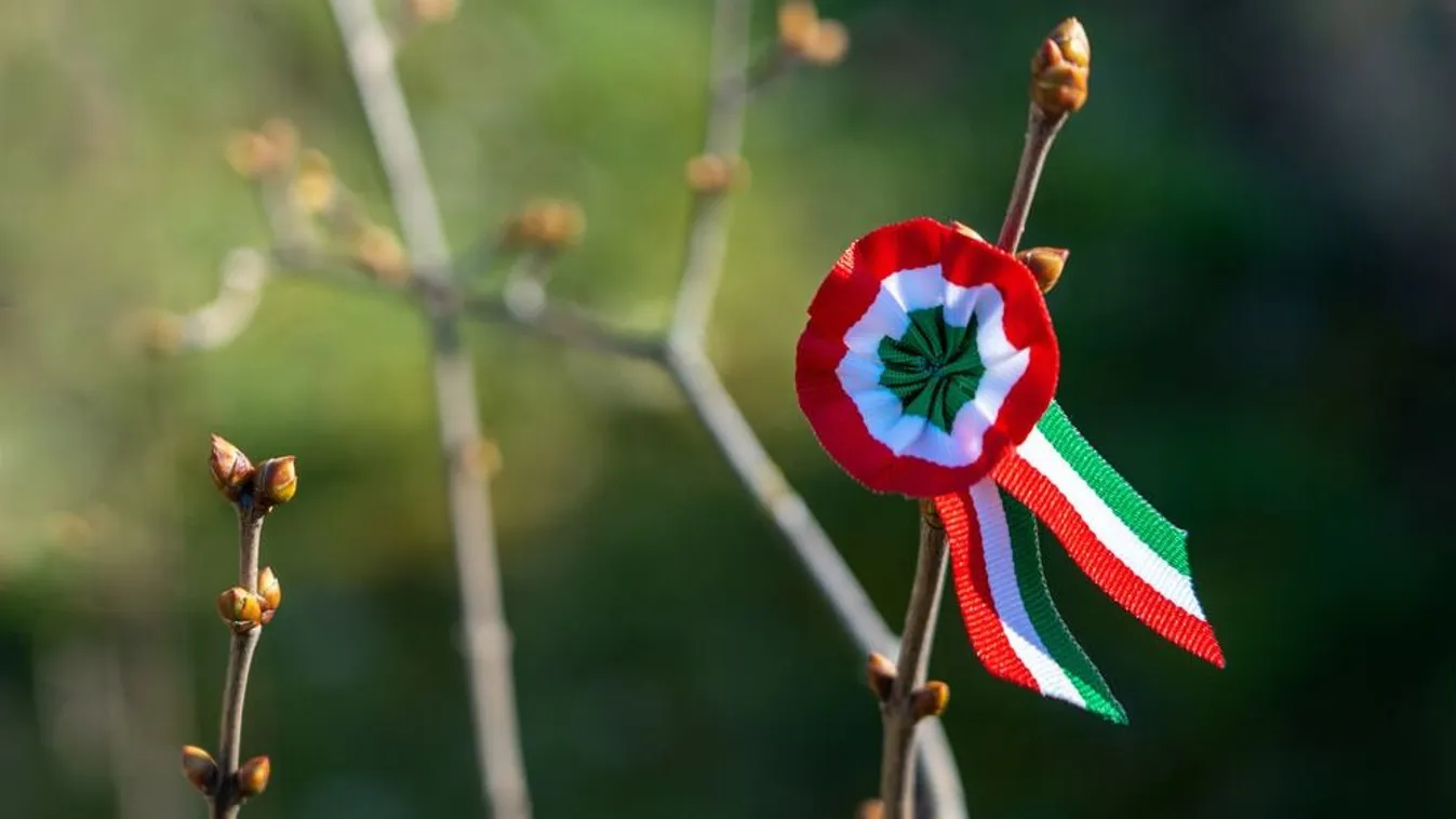 Ilyen programok várnak március 15-én, kár lenne kihagyni