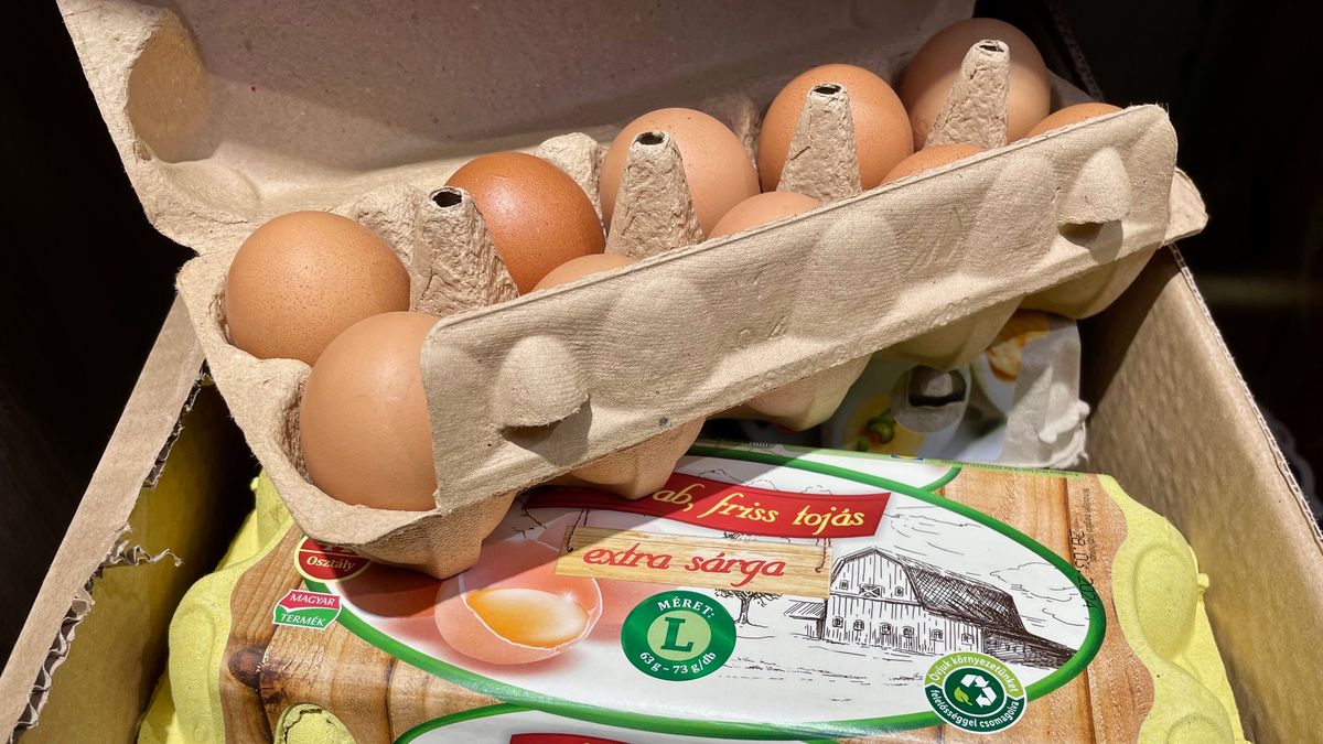 Ennyit csökkent a tojás ára a tavalyihoz képest - hol a legolcsóbb?