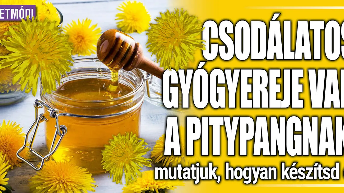 Csodálatos gyógyereje van a pitypangnak, így készítsd el
