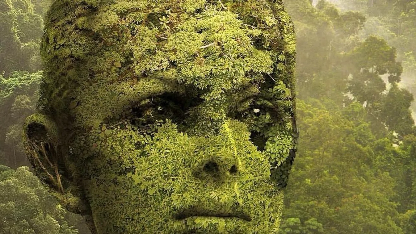 Nézz rá erre a képre: kiderül, hogy makacs vagy-e!